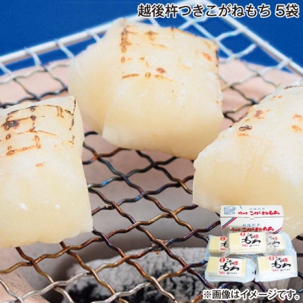 お歳暮のし付き 越後杵つきこがねもち 5袋