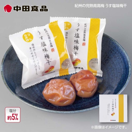中田食品 紀州の完熟南高梅 うす塩味梅干個包装 17ｇ×18個