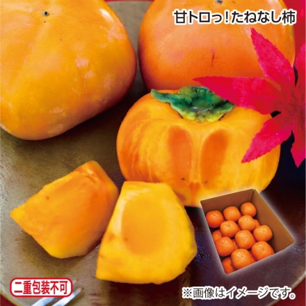 甘トロっ！たねなし柿 5kg（18～25個）