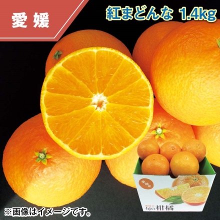 紅まどんな 1.4ｋｇ