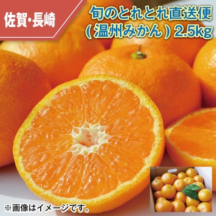 旬のとれとれ直送便（温州みかん）2.5ｋｇ