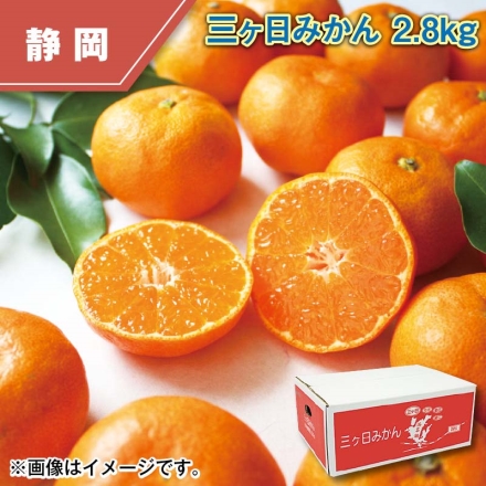 三ヶ日みかん 2.8ｋｇ