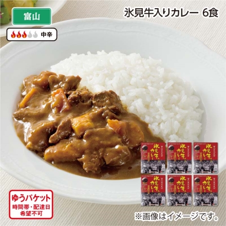 氷見牛入りカレー Ｂ（6食）