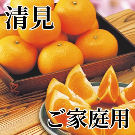 清見 ご家庭用 4.5kg（M～3L混）