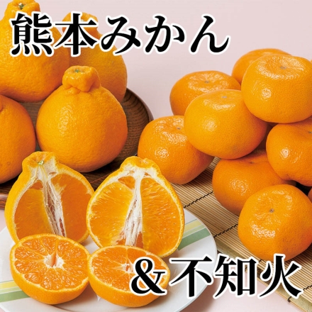 熊本みかん＆不知火 熊本みかん2kg（M～2L混：16～22個）、不知火1kg（3～5個）