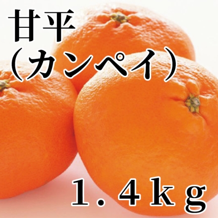 甘平（カンペイ） 1.4ｋｇ