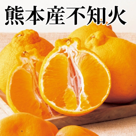 熊本産不知火 2.8kg（7～12個）