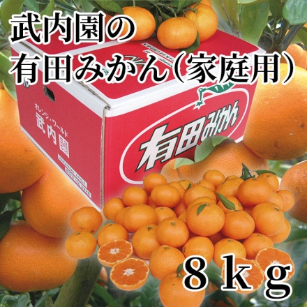 武内園の有田みかん（家庭用） 8ｋｇ