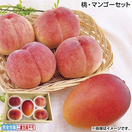お中元のし付き 桃・マンゴーセット 桃250g×4、マンゴー300g（1個） 御中元 夏ギフト ギフト 贈答