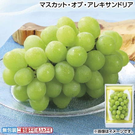 お中元のし付き マスカット・オブ・アレキサンドリア 600g（1房） 御中元 夏ギフト ギフト 贈答