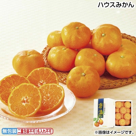 お中元のし付き ハウスみかん 1kg（10～15個） 御中元 夏ギフト ギフト 贈答