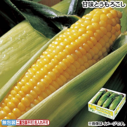 お中元のし付き 甘味とうもろこし 4kg（8～10本） 御中元 夏ギフト ギフト 贈答