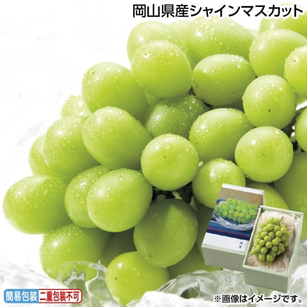 お中元のし付き 岡山県産シャインマスカット 500g（1房） 御中元 夏ギフト ギフト 贈答