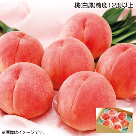 お中元のし付き 桃（白鳳）糖度12度以上 1.8kg（6～8個） 御中元 夏ギフト ギフト 贈答