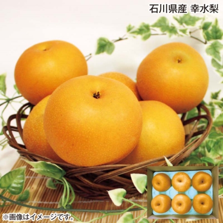 石川県産 幸水梨 2.5kg（6～8個）