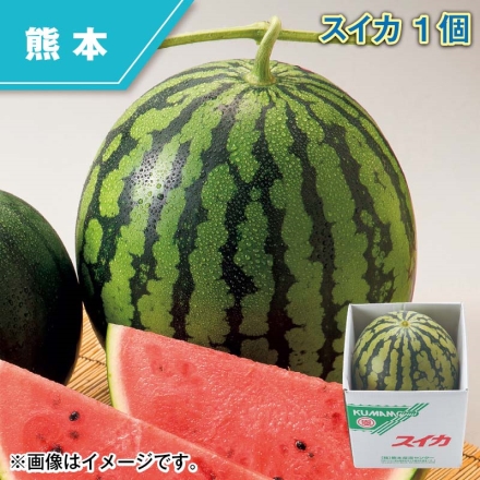 スイカ 1個