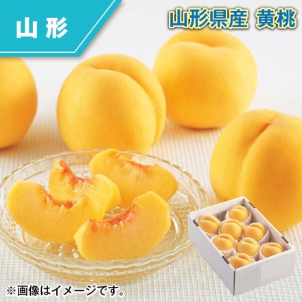 山形県産 黄桃