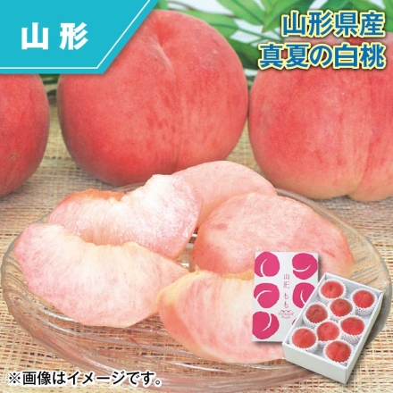 山形県産 真夏の白桃 2kg（秀：5～9個）