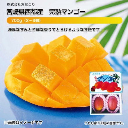 宮崎県西都産 完熟マンゴー 700g（2～3個）