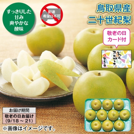 鳥取県産 二十世紀梨 3kg（6～11個）