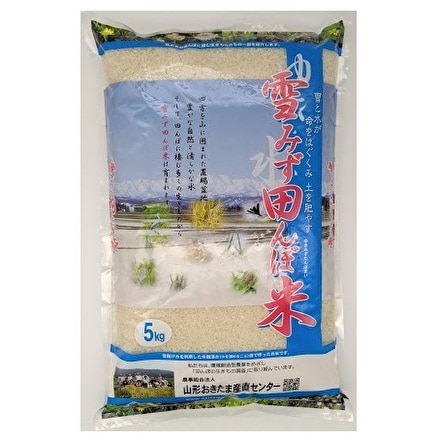 山形県産 こしひかり 雪みず 田んぼ米 特別栽培米 5kg 令和5年産