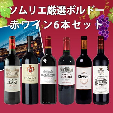 Firadis wine club collection 赤ワイン 2瓶 | congresoaccb.com
