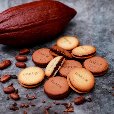 京都 「ｄari K」 カカオサンドクッキー12枚（ダーク・ミルク）