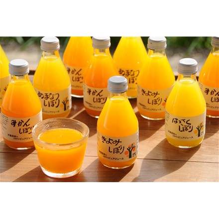 和歌山 「伊藤農園」 4種の柑橘ジュース 8本