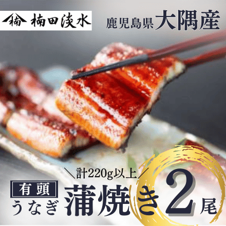 鹿児島県 楠田の極うなぎ 蒲焼き 2尾セット ( 1尾 110～129g ) 熨斗なし