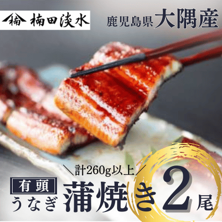 鹿児島県 楠田の極うなぎ 蒲焼き 2尾セット ( 1尾 130～149g ) 熨斗なし