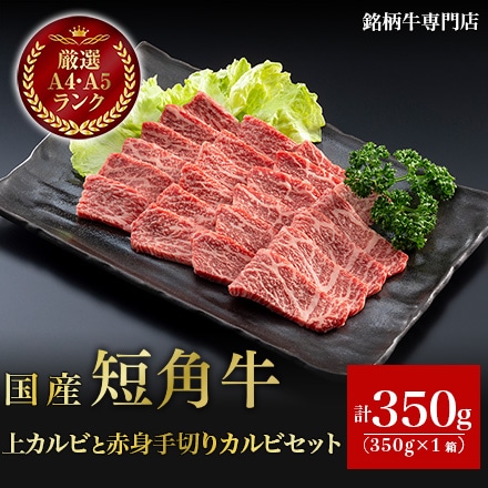 国産 短角牛 上カルビ 赤身手切りカルビ セット 350g 1～3人前