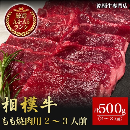 相模牛 もも焼肉用 500g 2～3人前