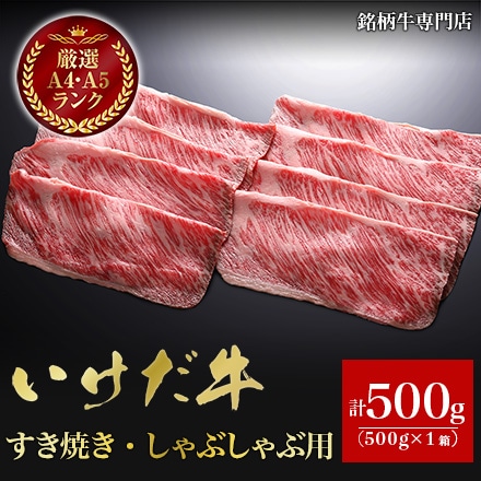 いけだ牛 すき焼き しゃぶしゃぶ用 500g 2～3人前