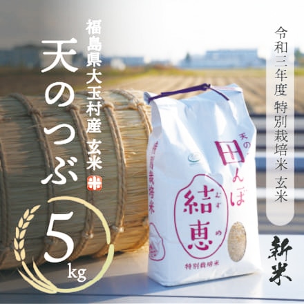 天のつぶ 特別栽培米 玄米 5kg 令和3年産
