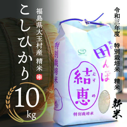 こしひかり 特別栽培米 精米 10kg 令和3年産