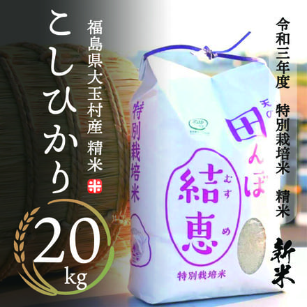 こしひかり 特別栽培米 精米 20kg 令和3年産