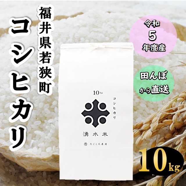 福井県 コシヒカリ 湧水米 10kg 令和5年産