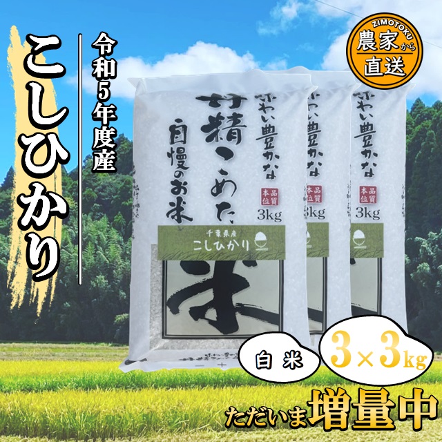 （白米）千葉県産 コシヒカリ 9kg 「増量オトク9kg！」令和5年