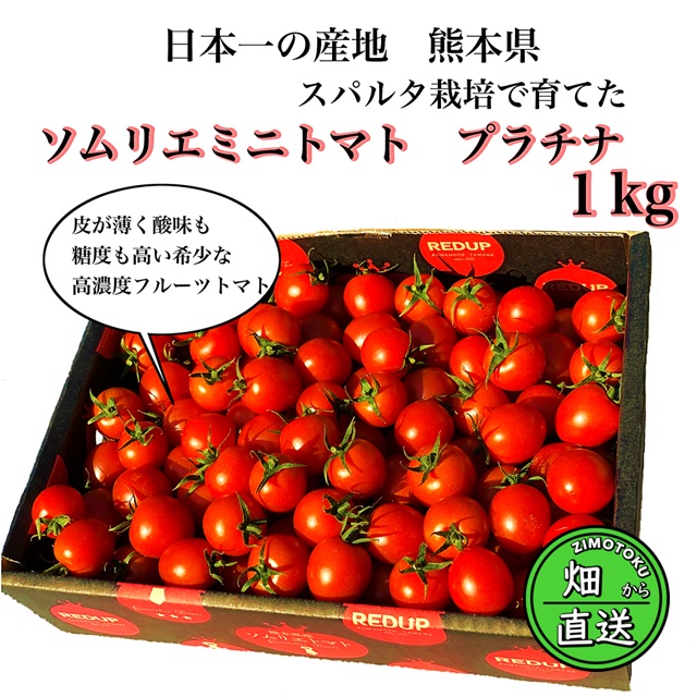 産直！ 高濃度フルーツトマト ソムリエミニトマト プラチナ 約1kg