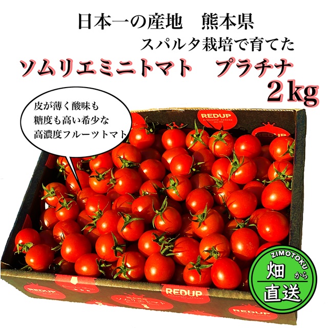 産直！ 高濃度フルーツトマト ソムリエミニトマト プラチナ 箱込み約2kg
