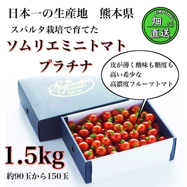 産直！ 高濃度フルーツトマト 「極み」 ソムリエミニトマト プラチナ約1.5kg