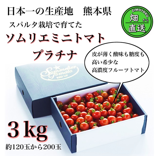産直！ 高濃度フルーツトマト 「極み」 ソムリエミニトマト プラチナ約3kg