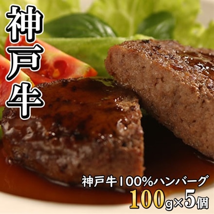 神戸ビーフハンバーグ100g×5個