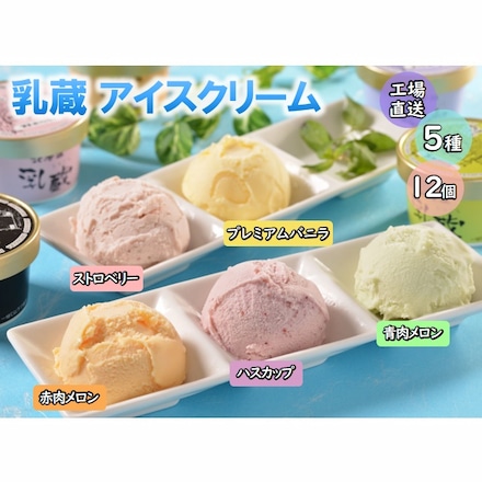 「乳蔵」 北海道アイスクリーム 5種 12個