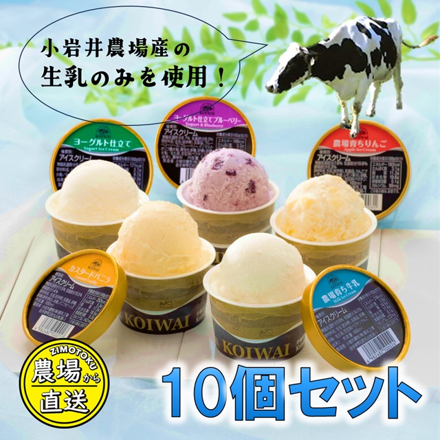 小岩井牧場アイスクリーム10個セット