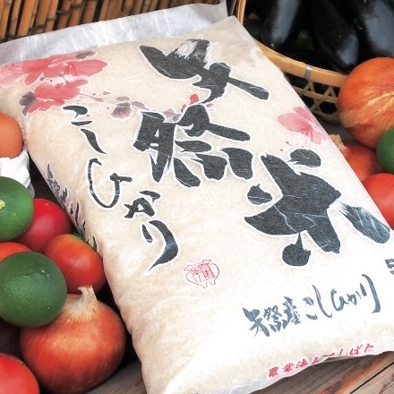 福島県産 コシヒカリ 5kg 矢祭米と野菜 米たまごのセット 令和3年産