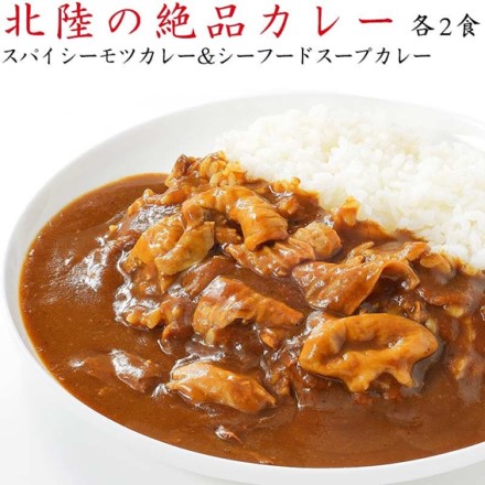 北陸の絶品 カレー 計４食 スパイシーモツカレー シーフードスープカレー 180g 各2個