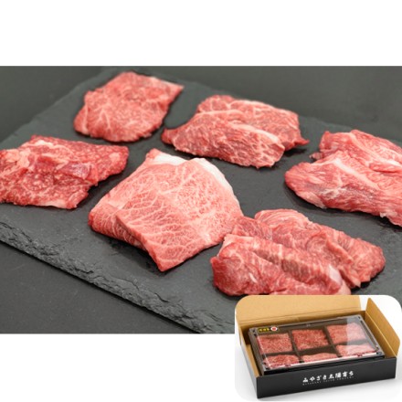 肉の野上 宮崎牛 6種盛り 600g ギフト箱