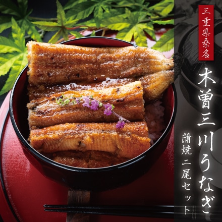 木曽三川 活うなぎ 蒲焼き 2尾セット 130g～150g×2尾 2～3人前