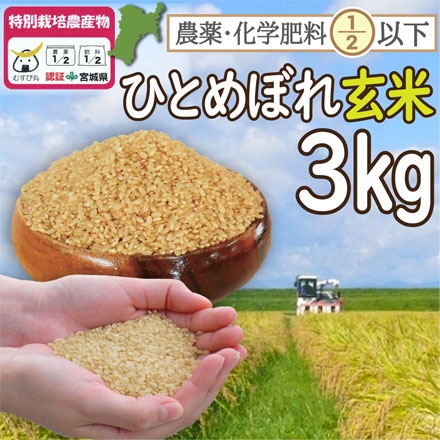 玄米 宮城登米産 ひとめぼれ 3kg （宮城県認証 農薬・化学肥料節減米） 令和3年産